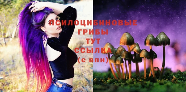 скорость Алексеевка