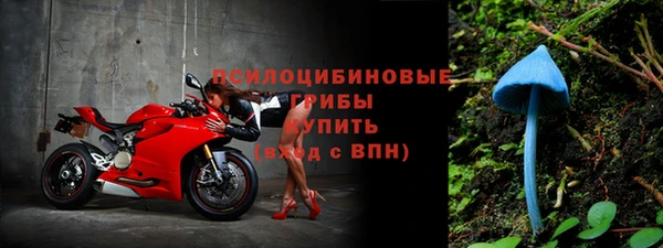 трава Арсеньев