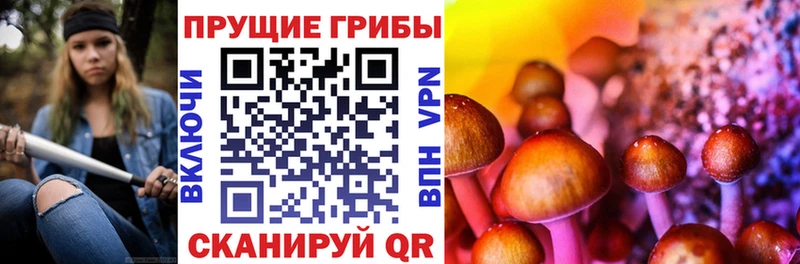 Псилоцибиновые грибы MAGIC MUSHROOMS  Буй 